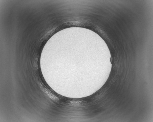 X0000080170450200701051635