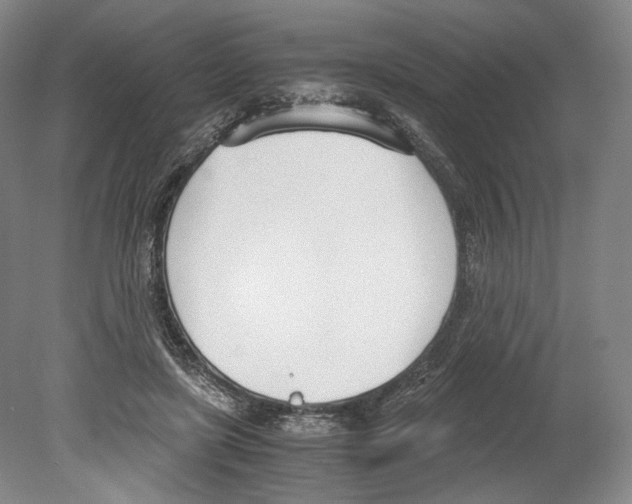 X0000080170451200701051635