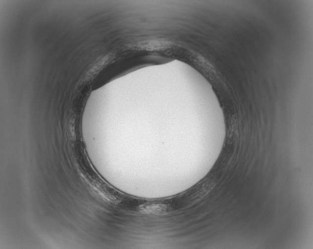 X0000080170452200701051635