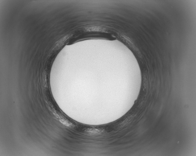 X0000080170453200701051635