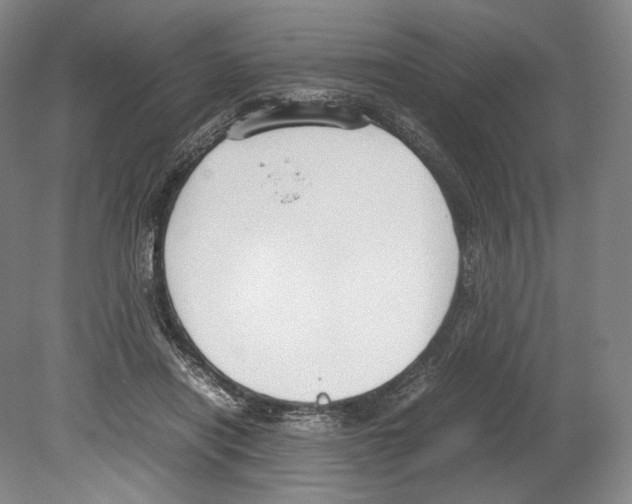 X0000080170454200701051635