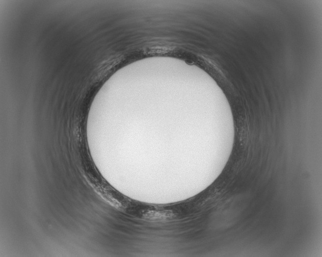 X0000080170455200701051635