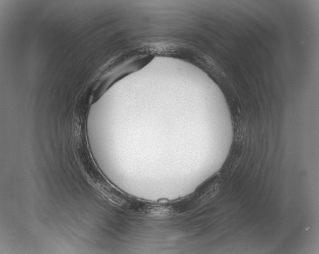 X0000080170456200701051635