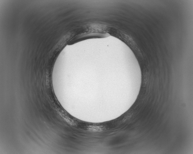 X0000080170457200701051635