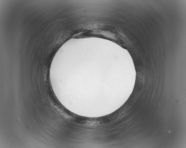 X0000080170458200701051635