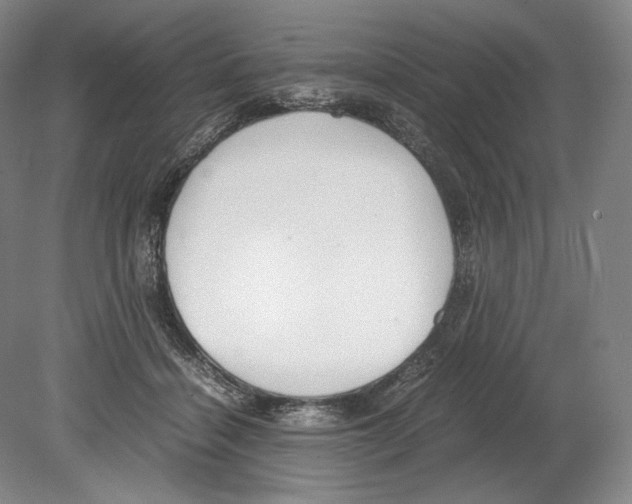X0000080170460200701051636