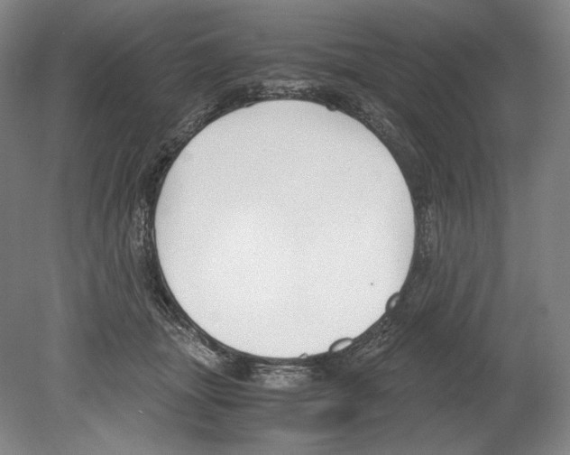 X0000080170463200701051636