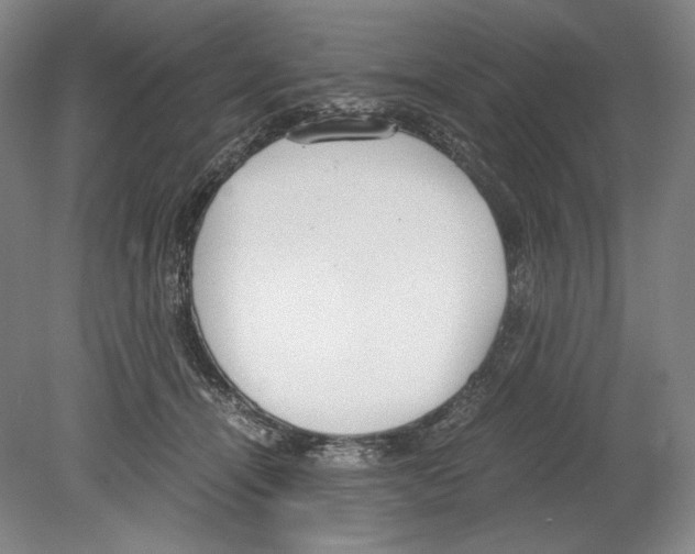 X0000080170464200701051636