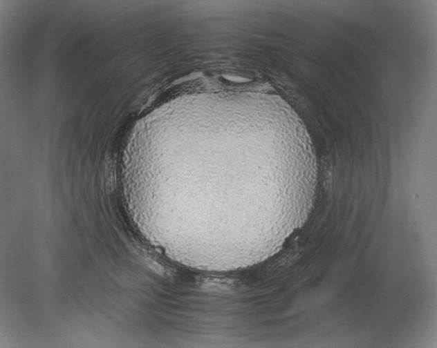 X0000080170471200701051636
