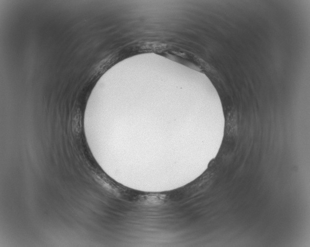 X0000080170474200701051636