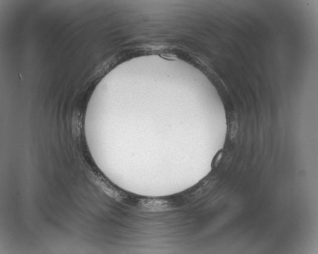 X0000080170476200701051636