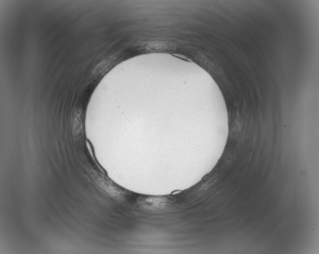 X0000080170478200701051636