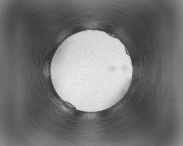 X0000080170479200701051636