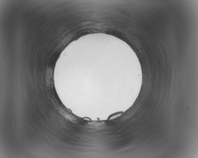 X0000080170480200701051636