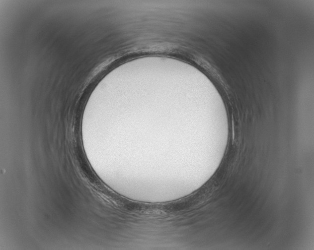 X0000080170483200701051635
