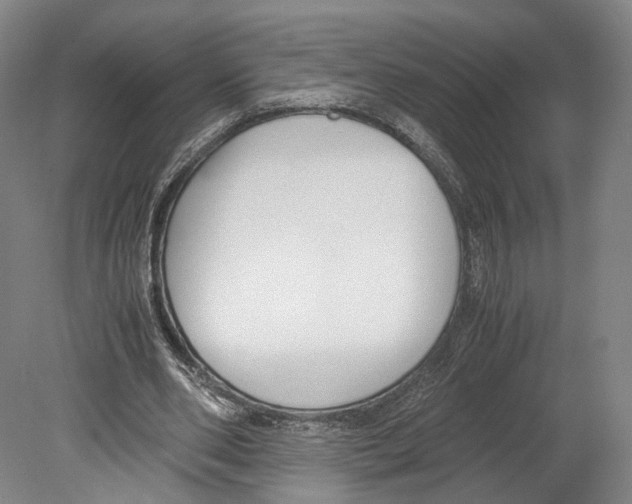X0000080170486200701051635
