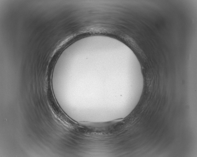 X0000080170488200701051635