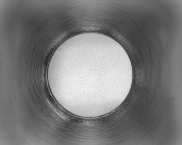 X0000080170490200701051635