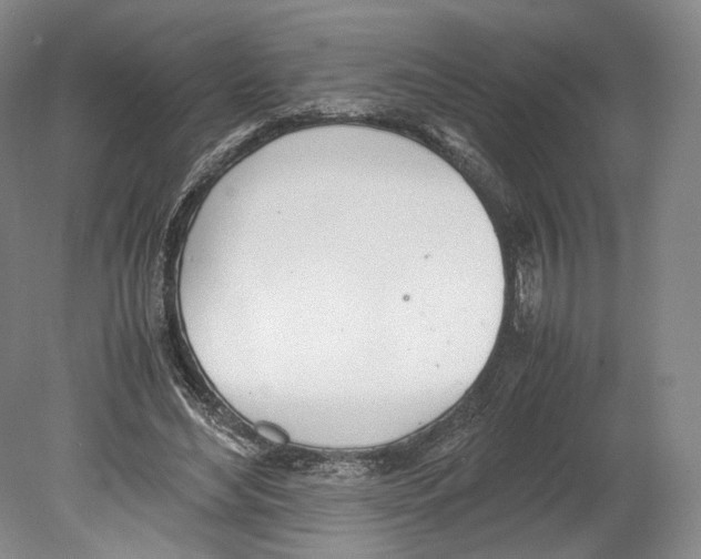 X0000080170492200701051635