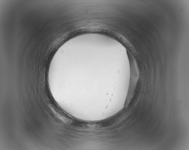 X0000080170493200701051635