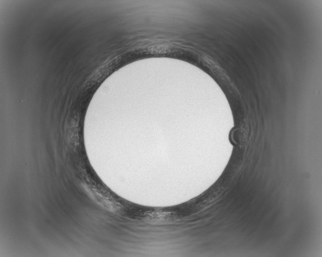 X0000080170497200701051635
