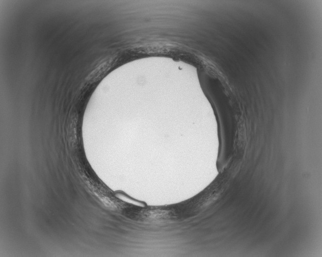 X0000080170501200701051635