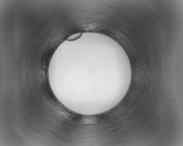 X0000080170510200701051635