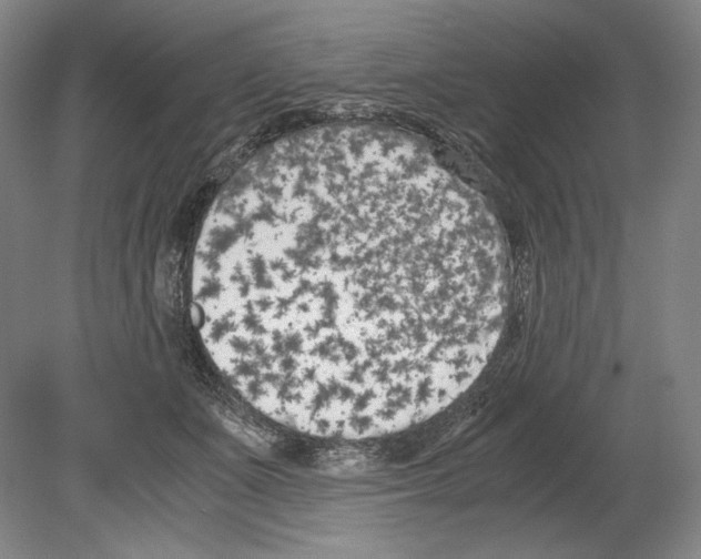 X0000080170511200701051635