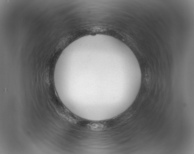 X0000080170512200701051635