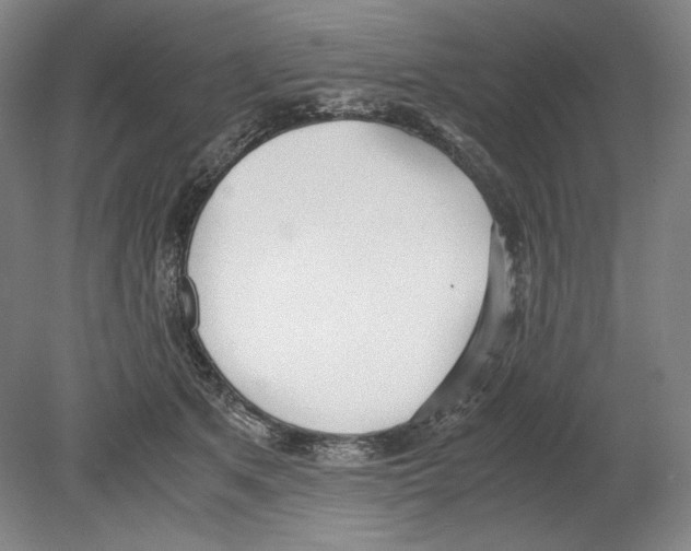 X0000080170513200701051635
