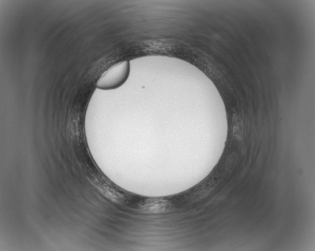 X0000080170514200701051634