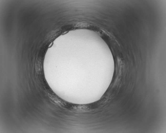 X0000080170517200701051634