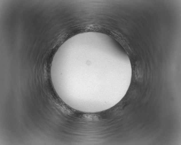 X0000080170520200701051634