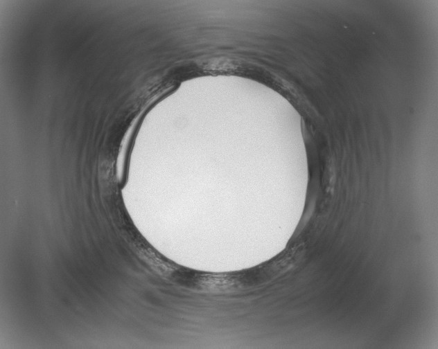X0000080170521200701051634