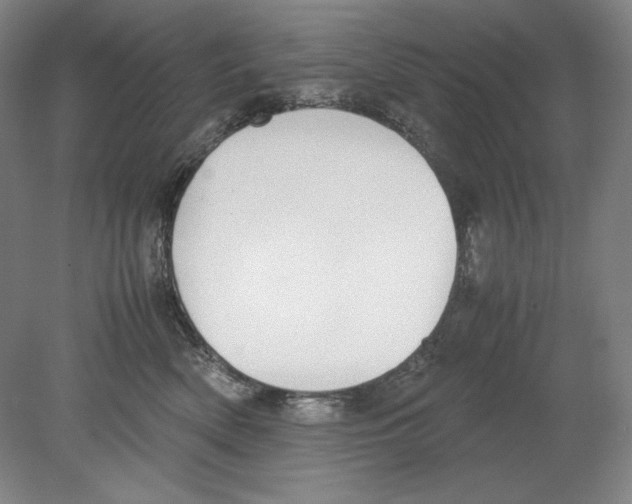X0000080170522200701051634