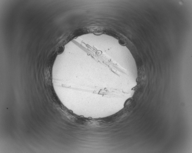 X0000080170523200701051634