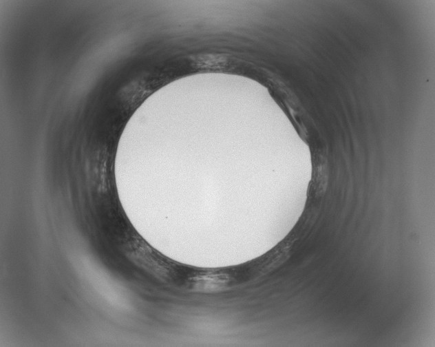 X0000080170525200701051634