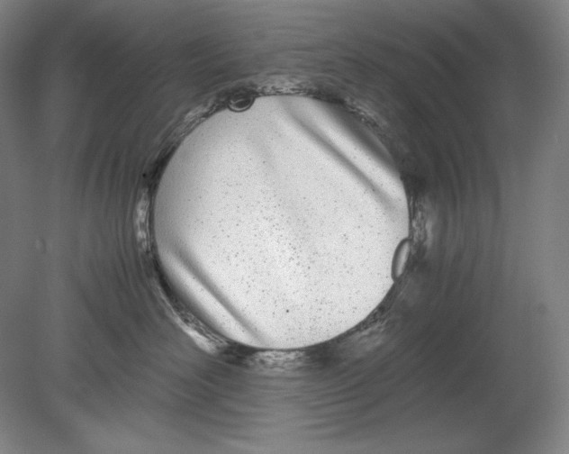 X0000080170526200701051634
