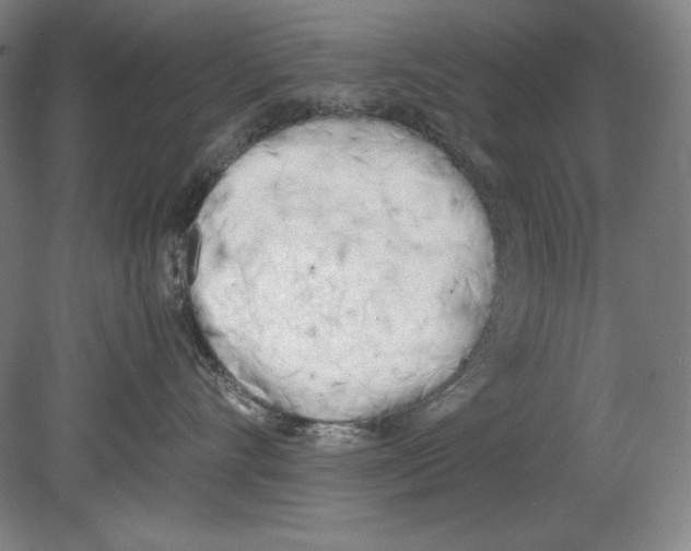 X0000080170528200701051634