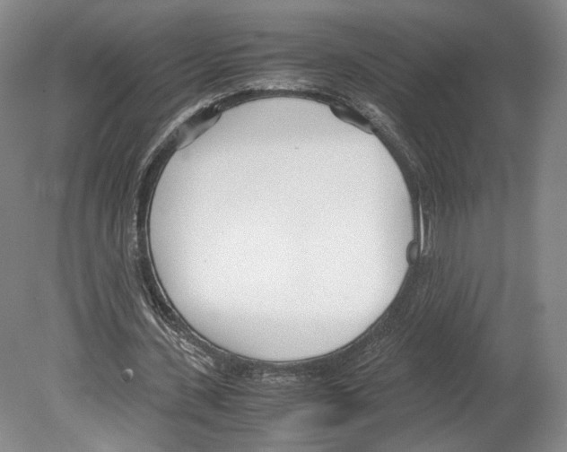 X0000080170531200701051633