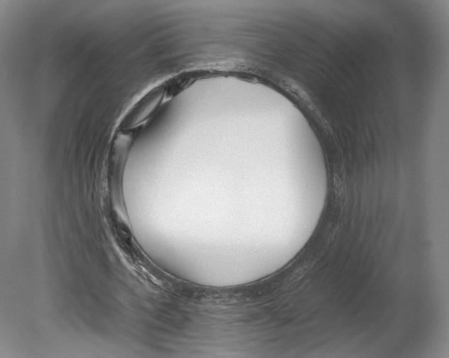X0000080170532200701051634