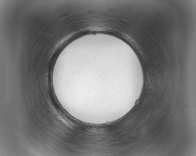 X0000080170535200701051634