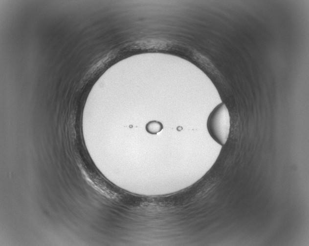 X0000080170538200701051634