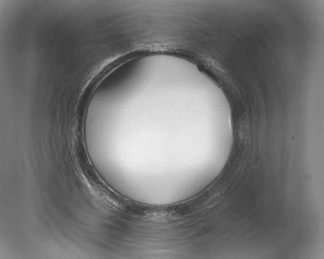 X0000080170540200701051634