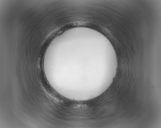 X0000080170543200701051634