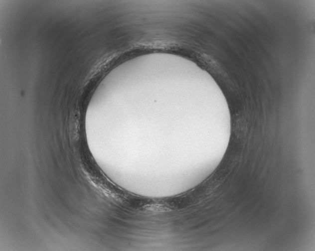 X0000080170544200701051634