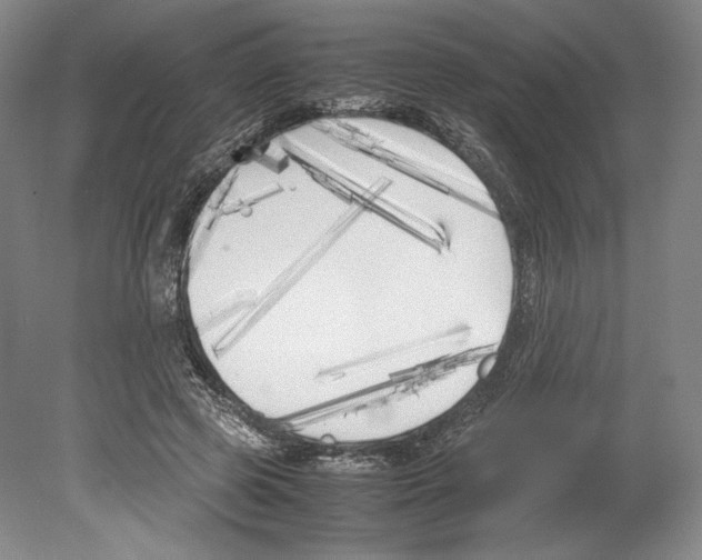 X0000080170545200701051634