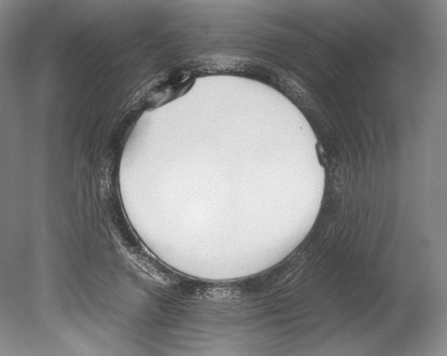 X0000080170546200701051634