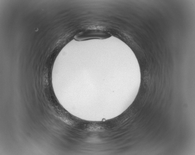 X0000080170547200701051634