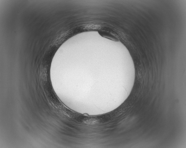 X0000080170551200701051634